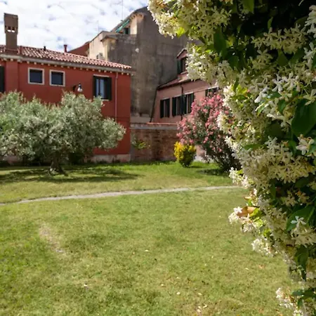 Garden *